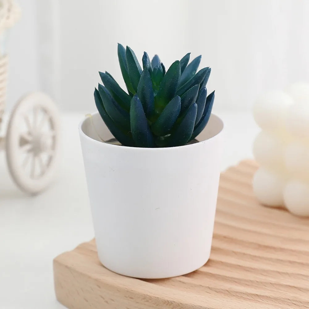 A small, dark green artificial cactus succulent bonsai plant in a white ceramic pot resting on a wooden surface.