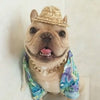 Adjustable Gold Chain Pet Necklace for Cats and Dogs