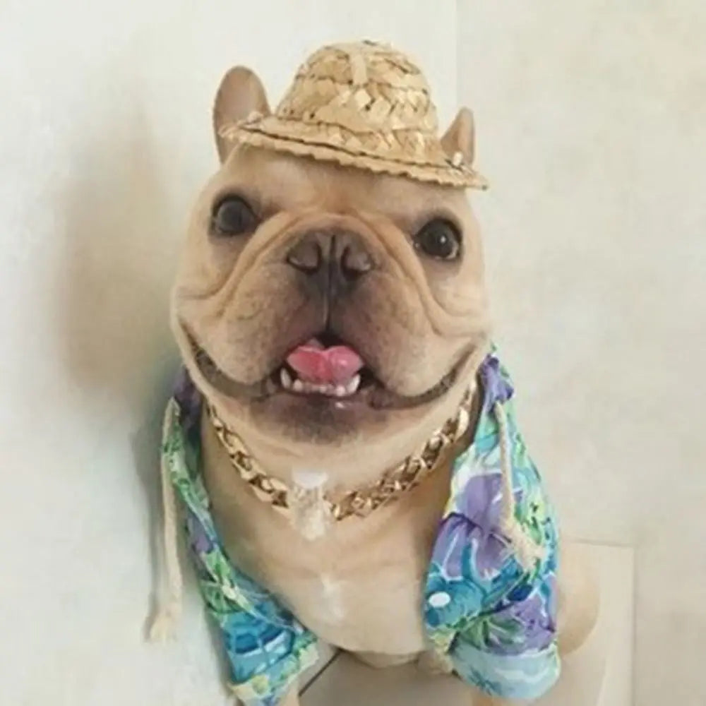 Adjustable Gold Chain Pet Necklace for Cats and Dogs