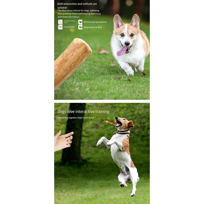 Jouet à Mâcher en Bois de Café Naturel pour Chiens