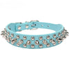 Punk Rivet Spiked Leather Dog Collar