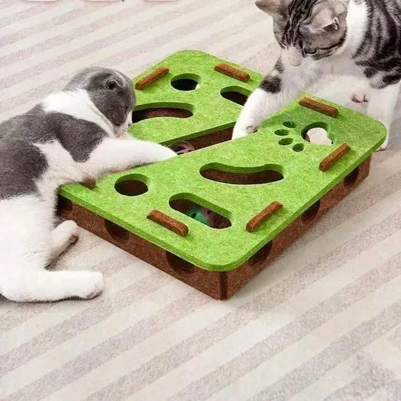 Un chat interagit avec un labyrinthe puzzle en feutre vert conçu pour chats.