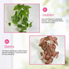 Realistic Artificial Ivy Hanging Plant for Wall Decor