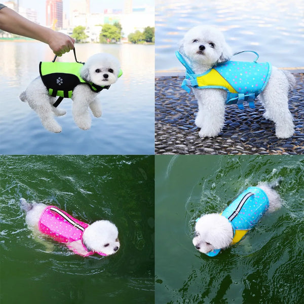 Three dogs wearing colorful adjustable life jackets for swimming in water.