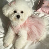 Adorable Princess Dress for Small Dogs and Cats