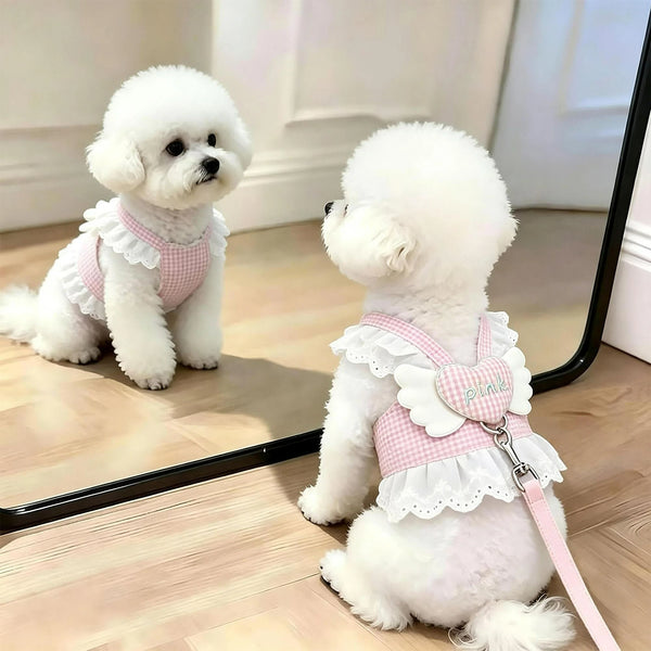 A white poodle wearing a pink lace ruffle plaid dog harness vest with an angel heart design.