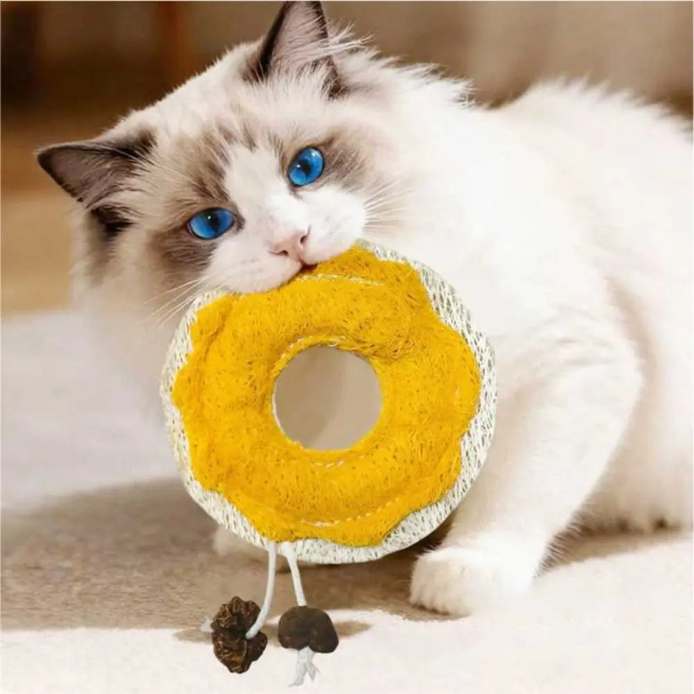 A fluffy white cat is gently holding a yellow natural loofah chew toy for play.