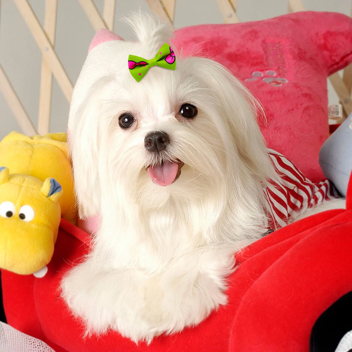 Pet Hair Bows with Rubber Bands - Assorted Styles for Small Dogs and Cats