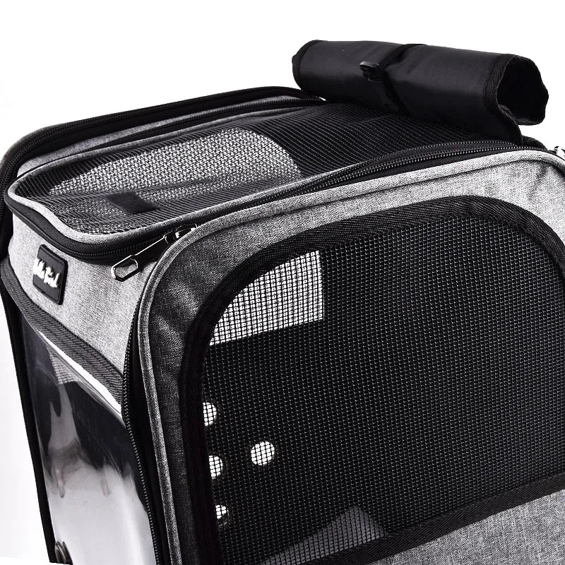 Breathable Bird Travel Backpack Carrier with Perch