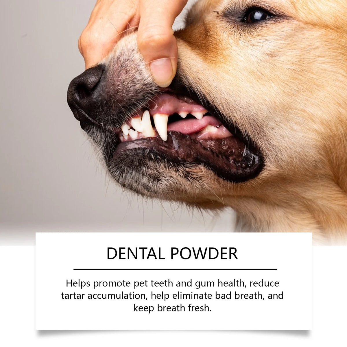 Pet Dental Powder for Dogs – Enzymes & Probiotics for Plaque, Tartar & Fresh Breath