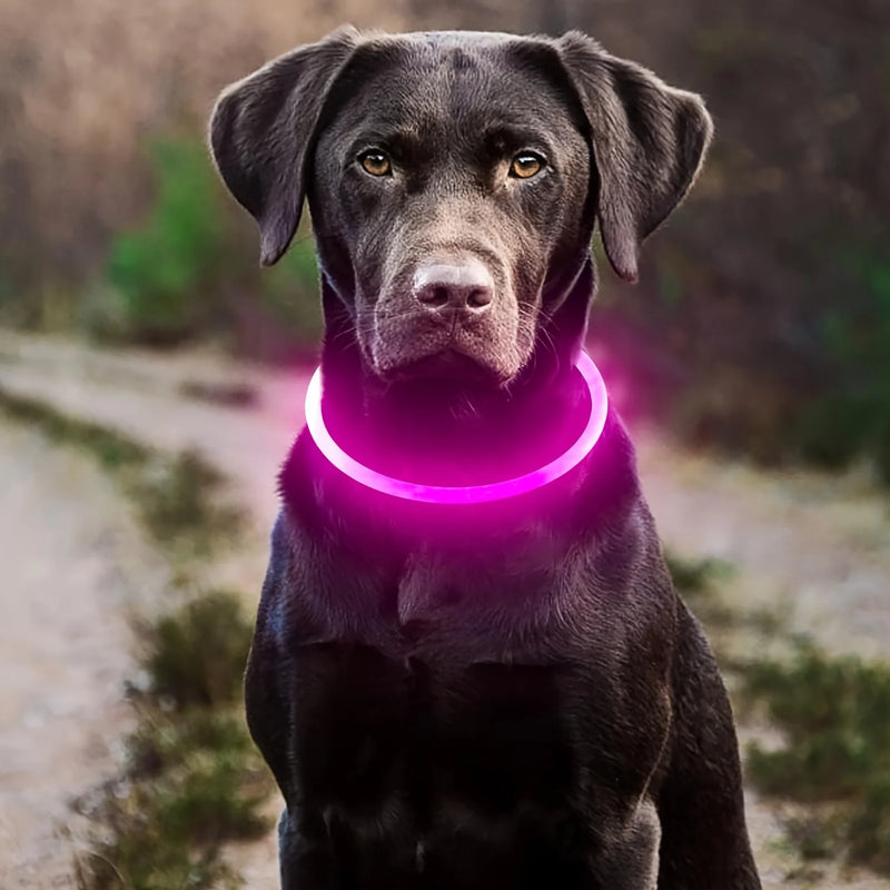 USB-wiederaufladbare LED-Hundehalsband