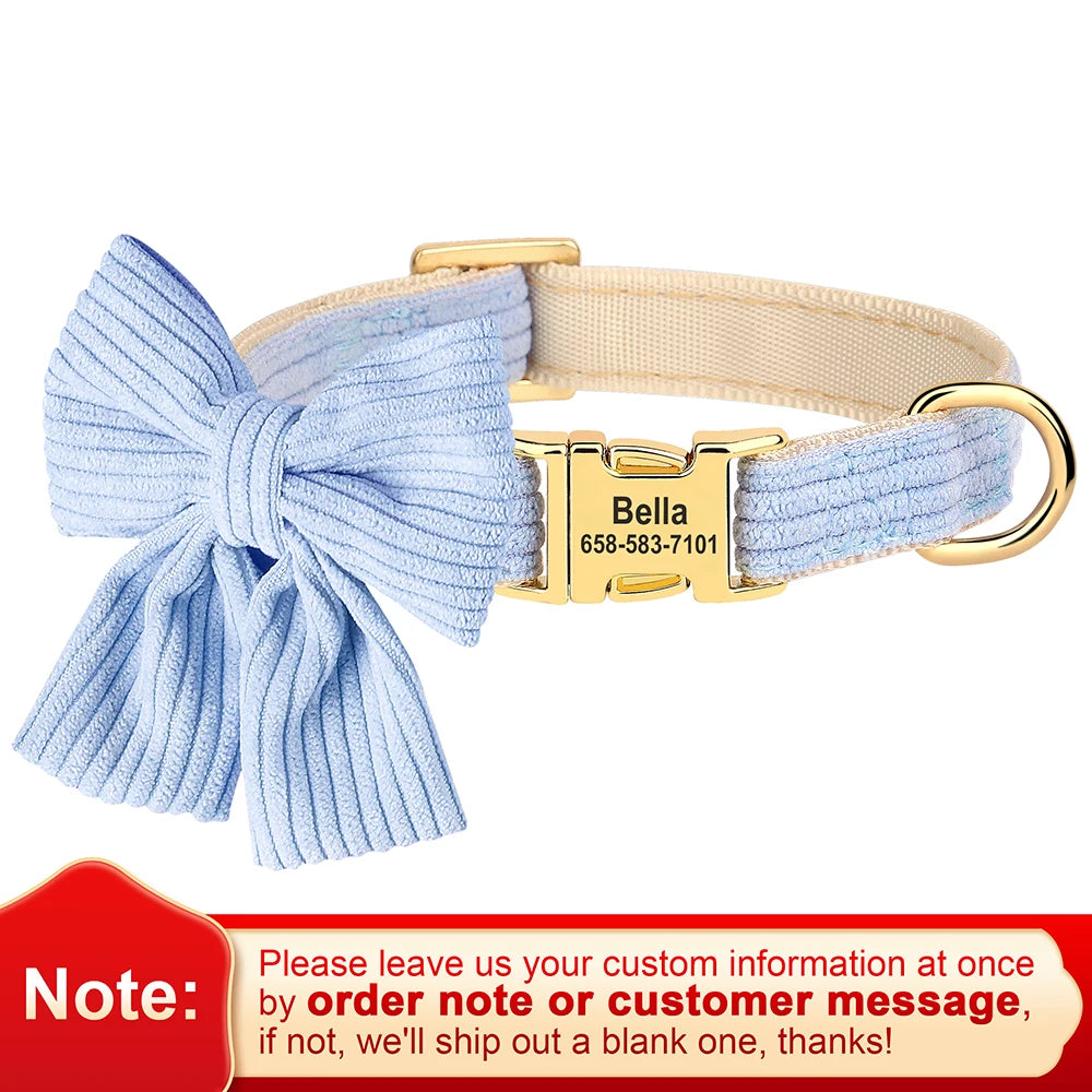 Light blue velvet dog collar with a gold buckle and bow knot