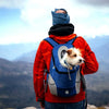 Eine Person mit roter Jacke und blauem Beanie trägt einen kleinen Hund in einem blauen Fronttragerucksack und steht auf einem