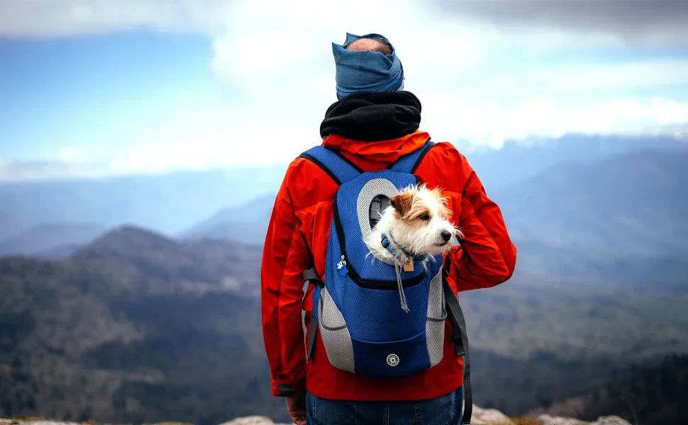 Eine Person mit roter Jacke und blauem Beanie trägt einen kleinen Hund in einem blauen Fronttragerucksack und steht auf einem