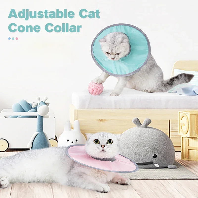 Adjustable cat cone collar shown on a kitten and a larger cat, demonstrating its use for veterinary recovery.