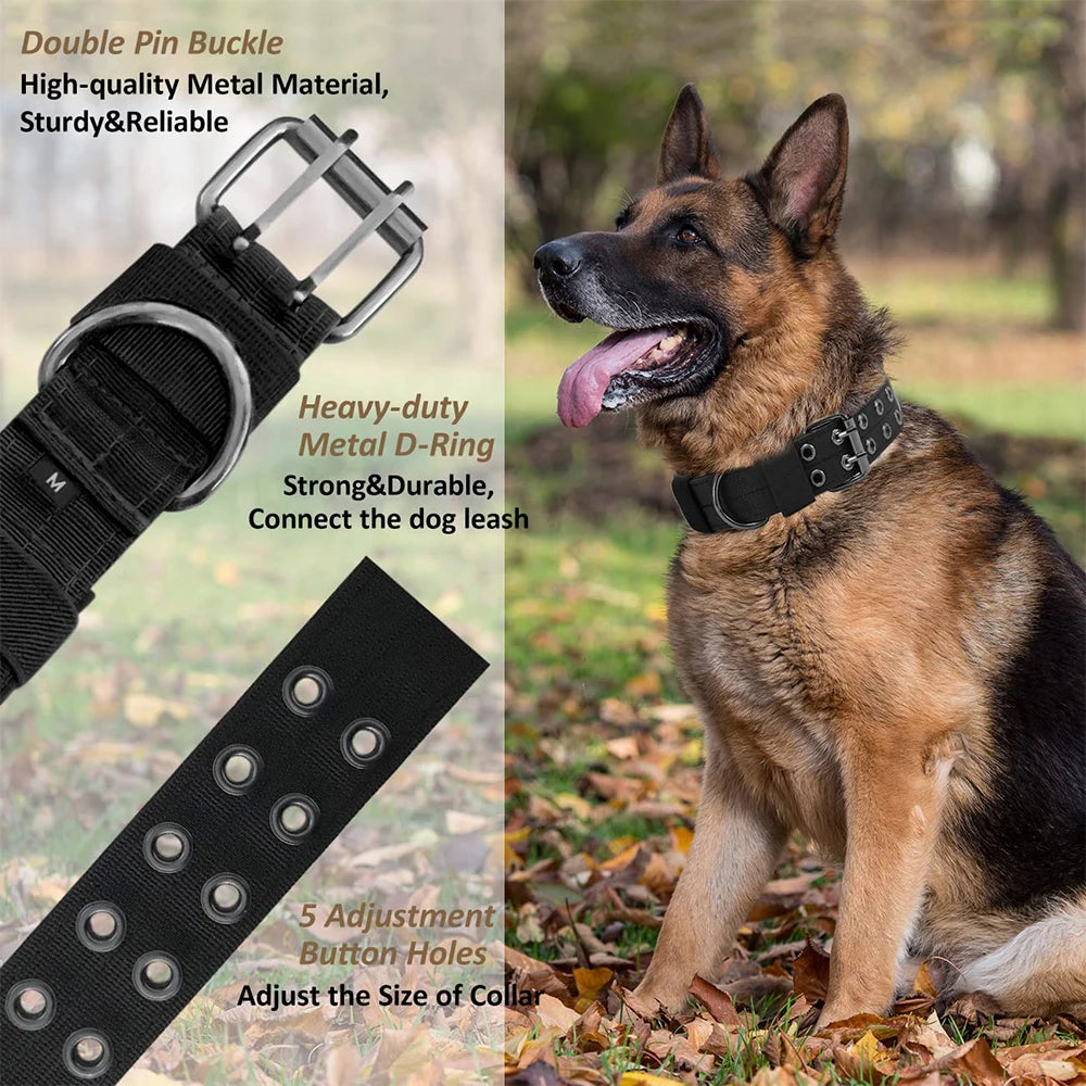 Heavy-Duty Nylon Dog Collar with Padded Lining and Metal Buckle