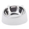 Ergonomic Stainless Steel Pet Food Bowl with Tilted Design