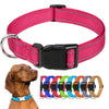 Verstellbares Nylon-Hundehalsband für kleine bis große Rassen