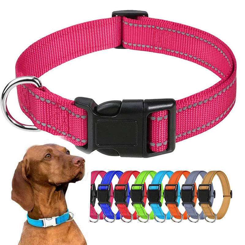 Decorative Nylon Dog Collar with Buckle Closure