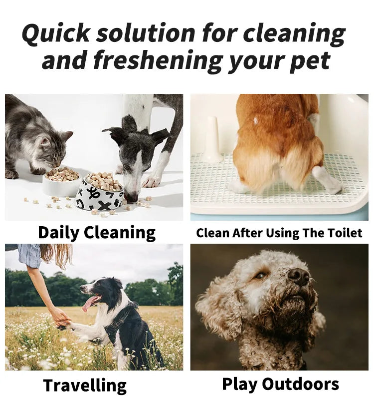 Plant-Based Deodorizing Pet Wipes for Sensitive Skin