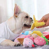 A light-colored dog is shown interacting with a yellow bone-shaped squeaky plush toy.