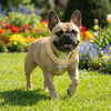 Luxury Gold Stainless Steel Dog Collar with Diamond Inlay