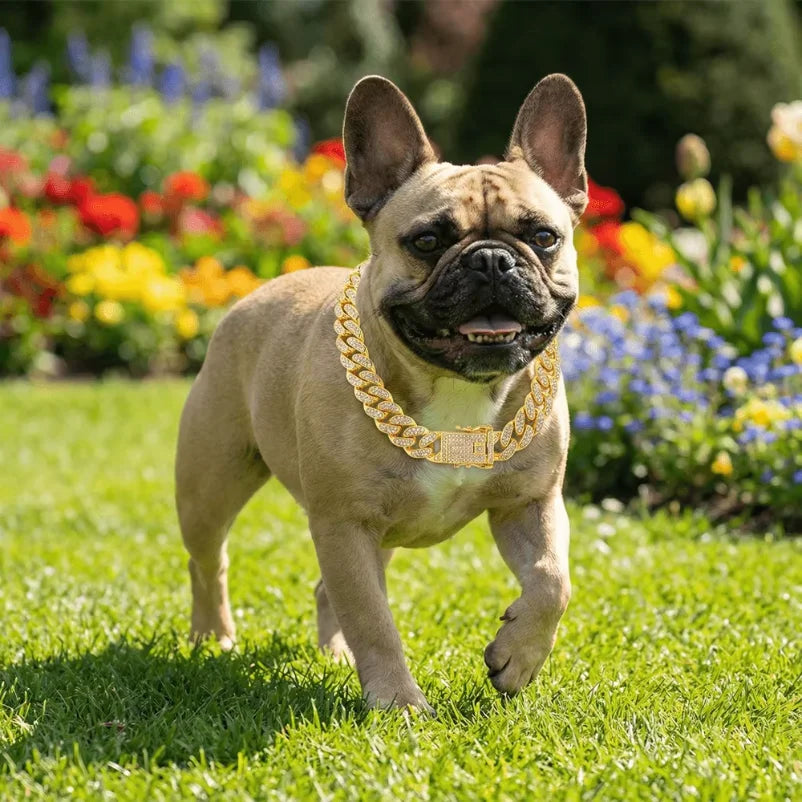 Luxury Gold Stainless Steel Dog Collar with Diamond Inlay