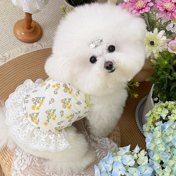 Floral Print Dog Dress, Summer Thin Lace Pet Dress