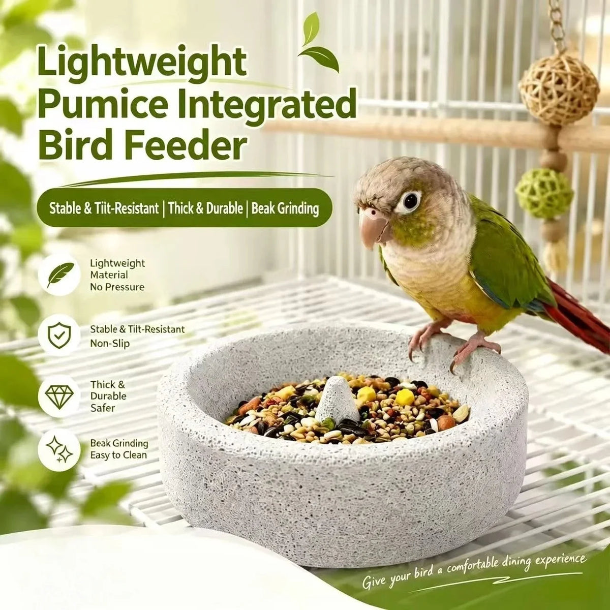 Natural Pumice Feeding Bowl with Anti-Tip Base for Small Parrots