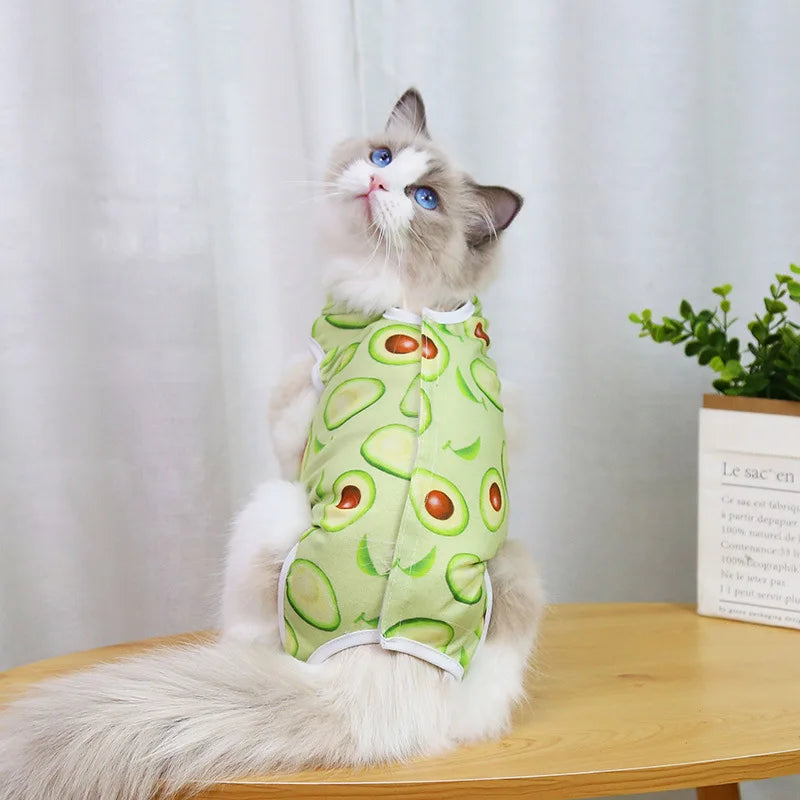 Cat Recovery Vest – Soft Anti-Licking Protector for Post-Surgery Care