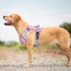 Atmungsaktives Hundegeschirr aus Mesh mit reflektierender Weste