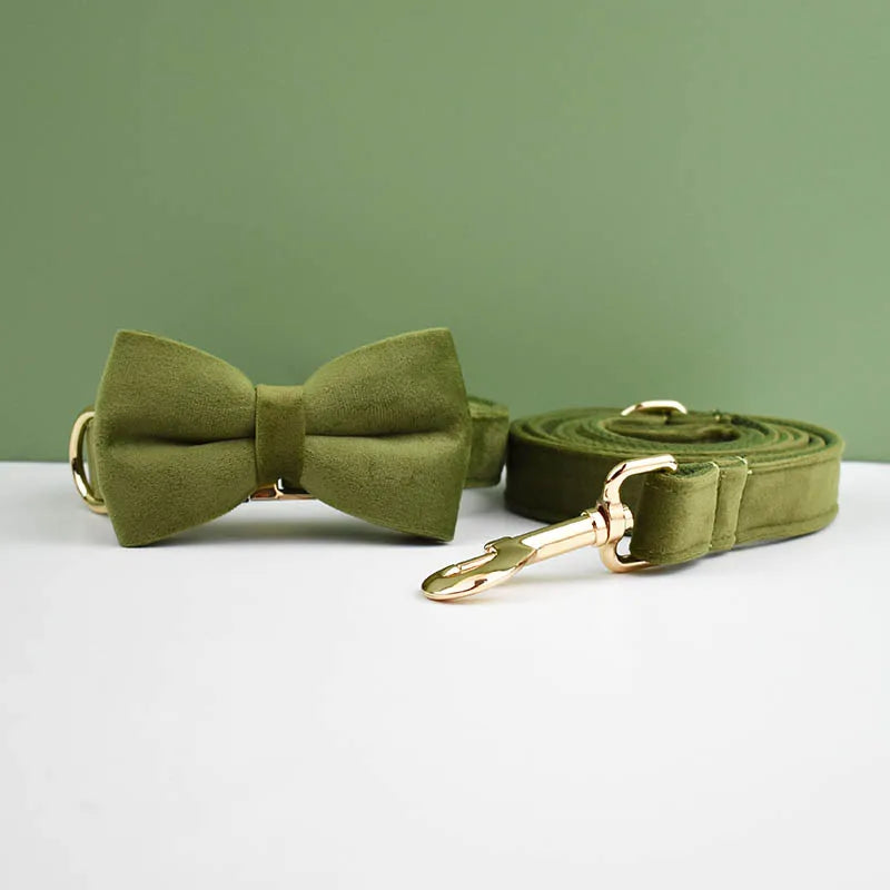 Set of velvet olive green dog collar, leash, and harness lying on a white surface.