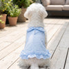 A white dog wearing a light blue ruffled stripe tank top sitting on a wooden deck.