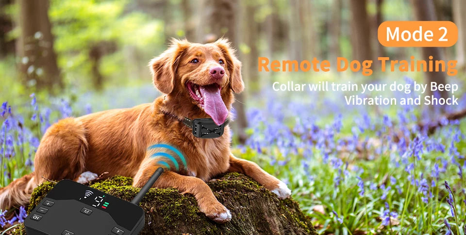 2-in-1 Wireless Dog Training Collar with Remote and Electric Fence