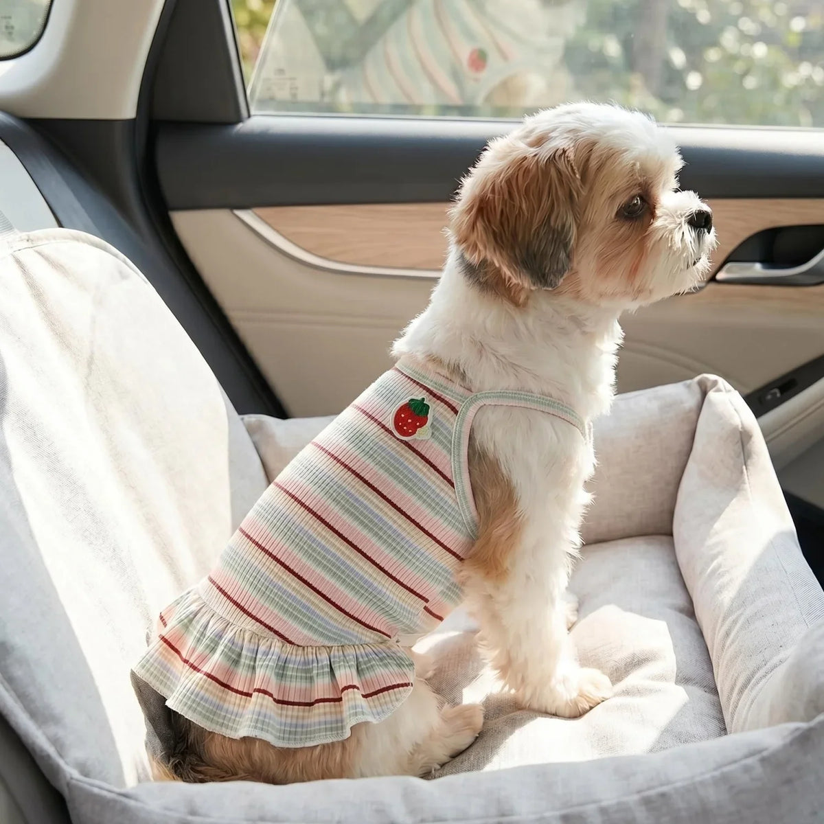 Sweet Strawberry Print Princess Dress for Small Dogs & Cats
