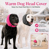 Ein schwarzer und ein weißer Hund tragen rosa und graue warme Kopfbedeckungen in einer verschneiten Outdoor-Umgebung.