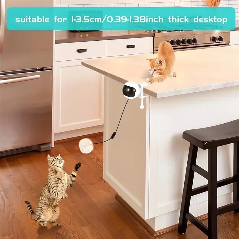 Interaktives elektrisches Spielzeug für Katzen mit auflegbarer Kugel auf einer Küchenarbeitsplatte neben einer Katze.
