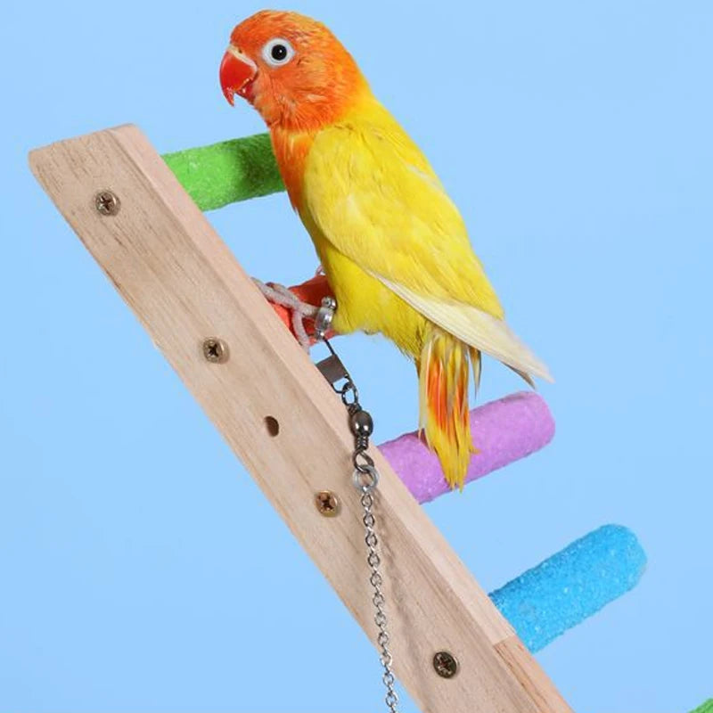 A bright orange and yellow parrot is perched on a wooden climbing ladder with colorful tubes.