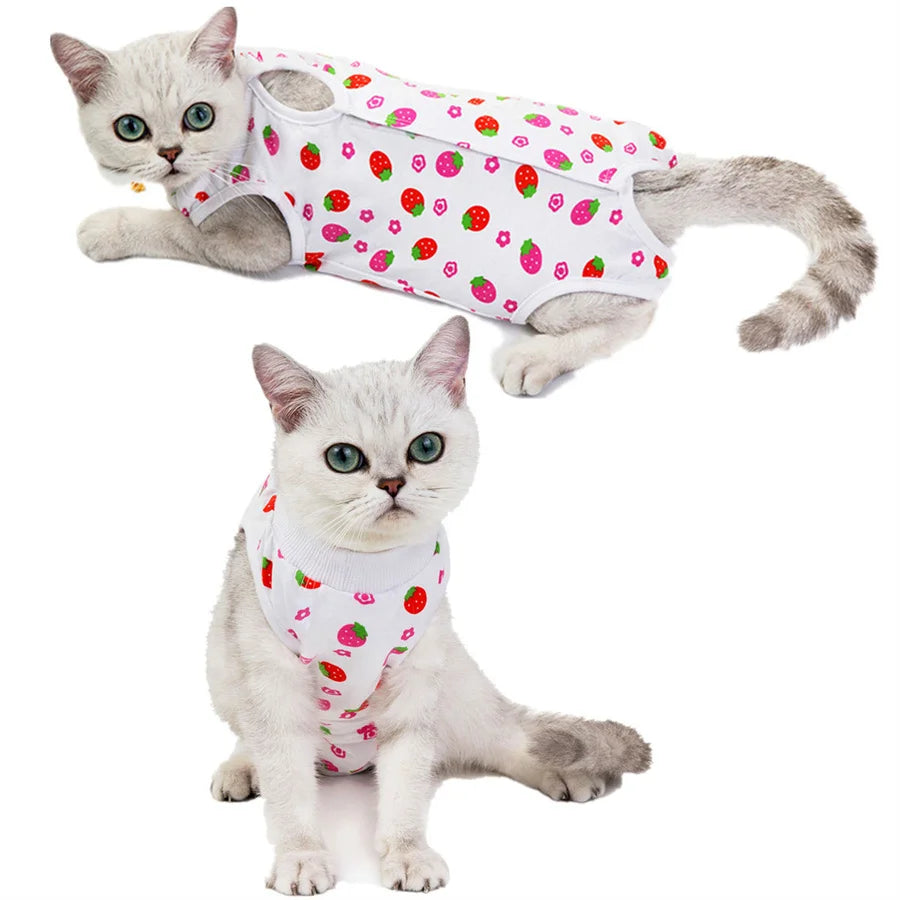 Ein flauschiger grauer Kater trägt eine weiße Rettungsweste mit roten Erdbeerenmuster.