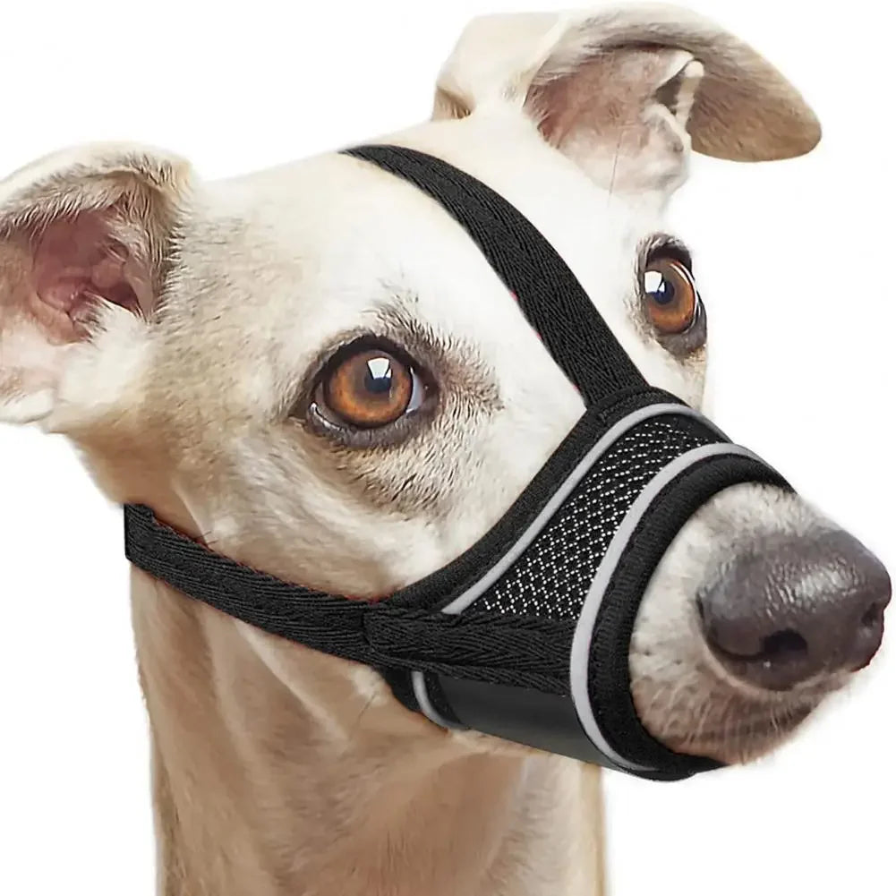 A light-colored dog wearing a black breathable adjustable muzzle for safe walks and grooming.