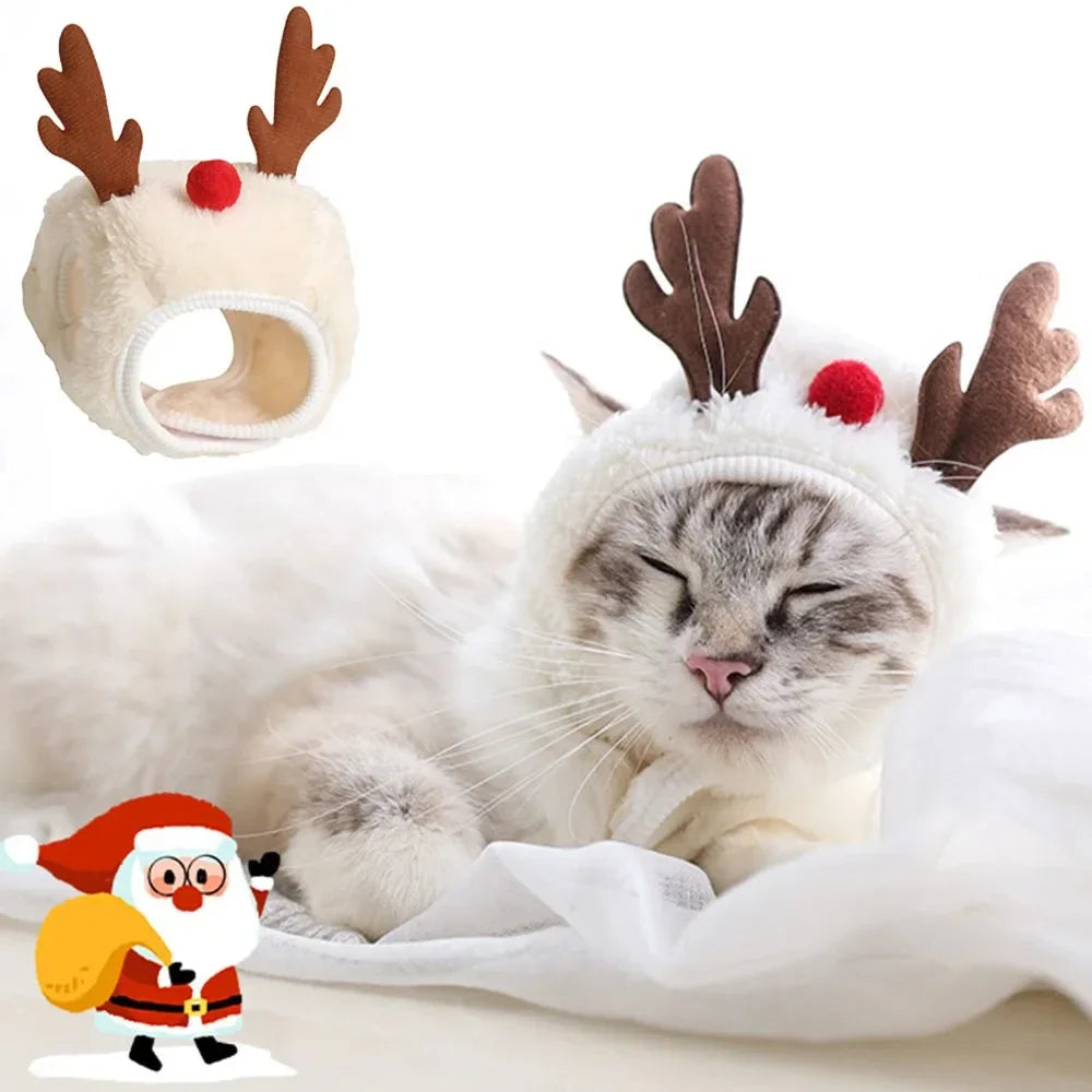 Christmas Pet Hat and Bandana Set for Cats and Small Dogs