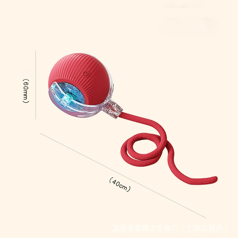 Cat Interactive Ball Toy for Kitten