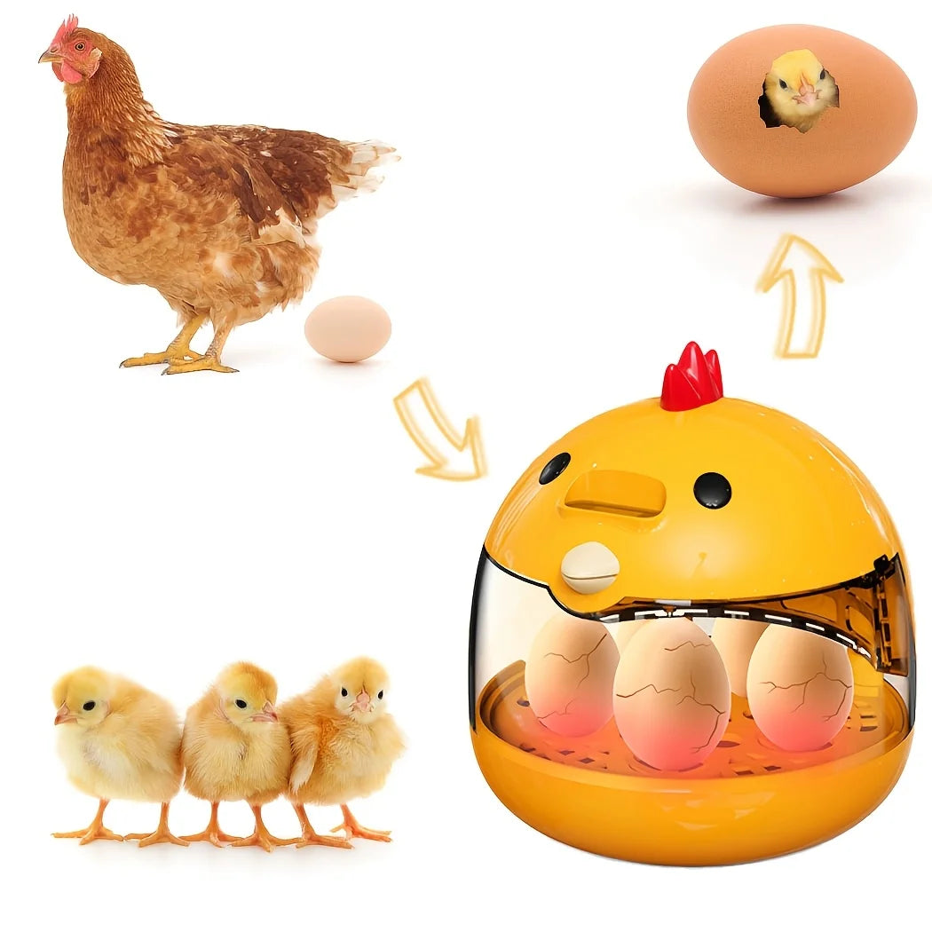 A yellow egg incubator with several eggs inside, next to a live chicken and several chicks.