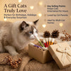 Cat Teaser Wand Set with Replacement Fleece Tops