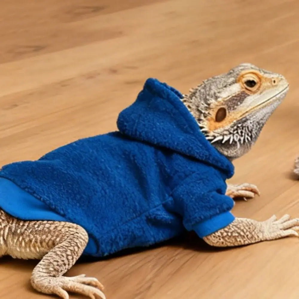 A bearded dragon is wearing a blue hooded costume on a wooden surface.