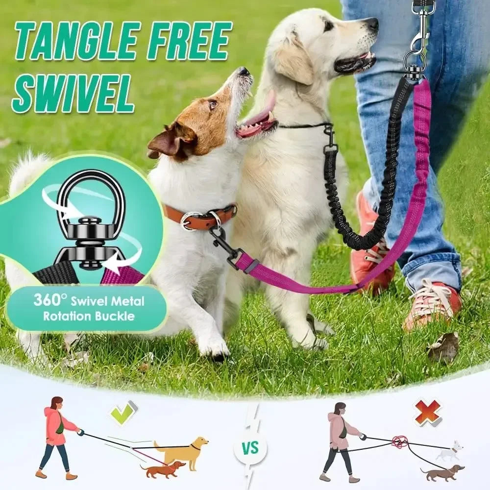 Dual Dog Leash with Shock-Absorbing Bungee (16 ft)
