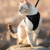 Ausbruchssicherer Katzengeschirr mit Leine