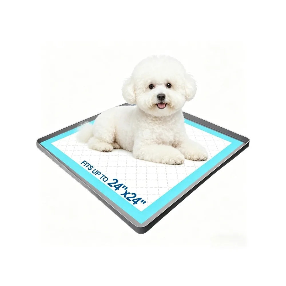 Ein flauschiger weißer Hund liegt auf einer blauen Silikonmatte zum Indoor-Training.