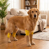 Dog Knee Pads with Elastic Leg Covers for Joint Protection