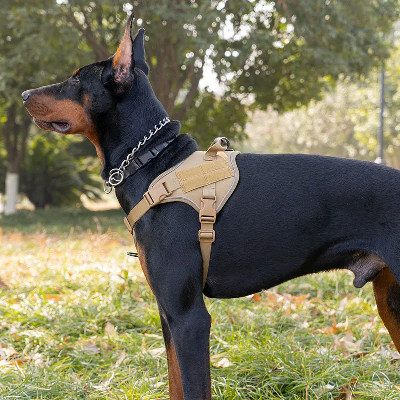 A black dog wearing a tan heavy-duty tactical harness standing outdoors.